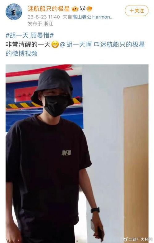 狗仔爆料张婧仪视频大全,张婧仪视频大全幕后真相