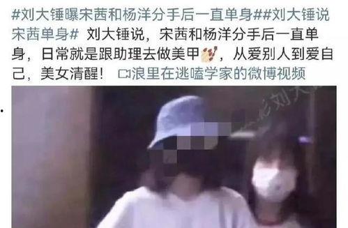 刘大锤爆料宋茜视频大全,宋茜视频大全幕后故事大曝光