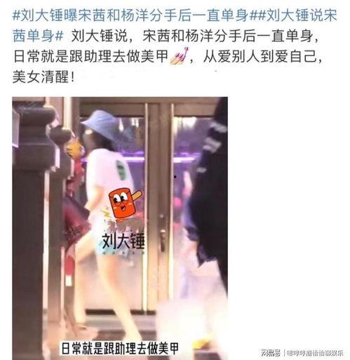 刘大锤爆料宋茜视频大全,宋茜视频大全幕后故事大曝光 第2张 刘大锤爆料宋茜视频大全,宋茜视频大全幕后故事大曝光 第2张