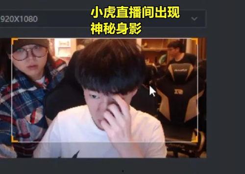 小虎爆料乌鸦视频下载,揭秘网络传播黑幕 第2张 小虎爆料乌鸦视频下载,揭秘网络传播黑幕 第2张
