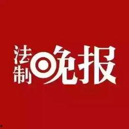 想爆料新闻有哪些方法,掌握信息源头的五大秘籍