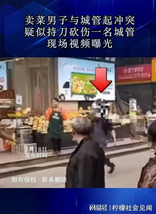 城管视频爆料大全最新,最新事件盘点与深度解析