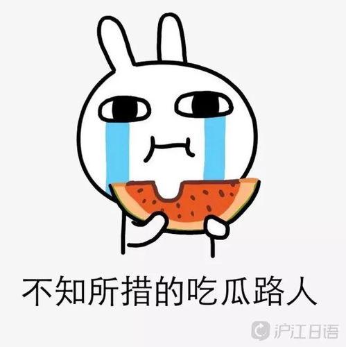 娱乐吃瓜酱经典语录大全,笑料百出,智慧闪耀 第3张 娱乐吃瓜酱经典语录大全,笑料百出,智慧闪耀 第3张