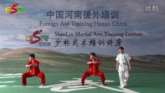 武术在线观看,领略中华武术魅力之旅