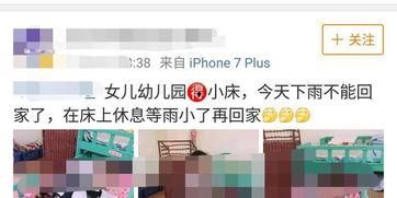 石家庄爆料小孩事件最新,悲剧背后的小孩事件引发社会关注 第3张 石家庄爆料小孩事件最新,悲剧背后的小孩事件引发社会关注 第3张