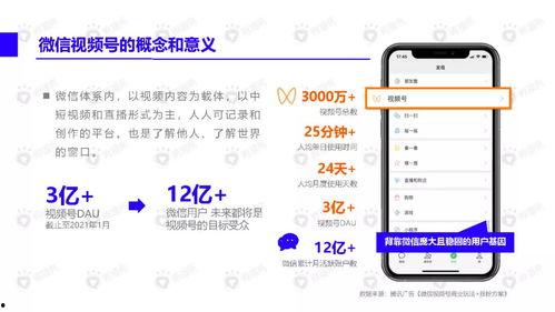 探戈爆料小骨头视频下载,小骨头视频下载背后的精彩故事