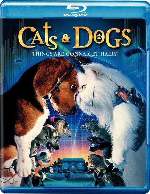 猫狗大战在线观看 第2张 猫狗大战在线观看 第2张