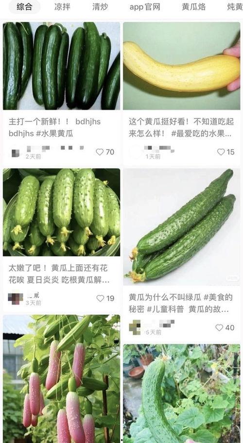 最新黄瓜爆料视频大全集,揭秘幕后真相与精彩瞬间 第1张 最新黄瓜爆料视频大全集,揭秘幕后真相与精彩瞬间 第1张