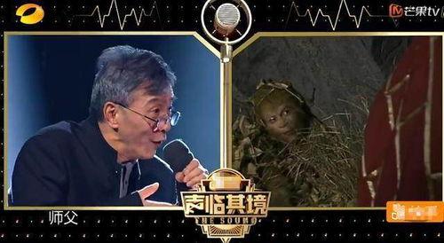 孙行者配音爆料视频大全,配音演员爆料视频大全