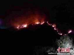 爆料常德山火视频播放,视频记录惊险救援瞬间 第2张 爆料常德山火视频播放,视频记录惊险救援瞬间 第2张