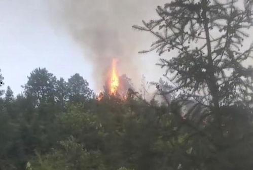 爆料常德山火视频播放,视频记录惊险救援瞬间 第3张 爆料常德山火视频播放,视频记录惊险救援瞬间 第3张