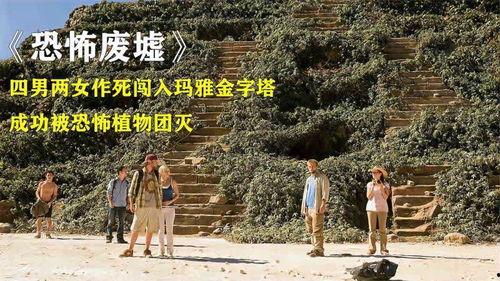 恐怖废墟在线观看,恐怖废墟在线惊悚之旅 第2张 恐怖废墟在线观看,恐怖废墟在线惊悚之旅 第2张