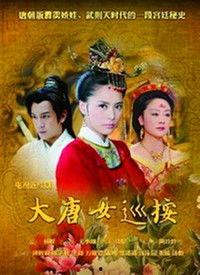 大唐女巡按在线观看,揭秘古代女性的智慧与勇气