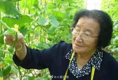 娱乐吃瓜菌8个陌生人,八位神秘嘉宾的跨界狂欢之夜 第2张 娱乐吃瓜菌8个陌生人,八位神秘嘉宾的跨界狂欢之夜 第2张