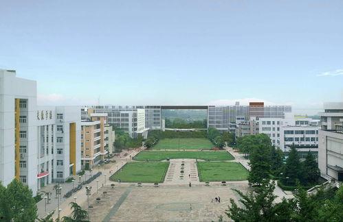 华中大学最新爆料信息,揭秘科研突破背后的故事 第3张 华中大学最新爆料信息,揭秘科研突破背后的故事 第3张