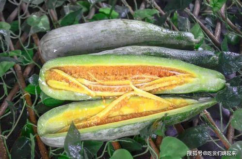 莒南网红吃瓜视频