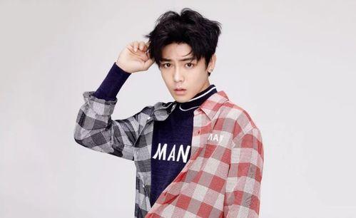 侯明昊恋情爆料视频,甜蜜互动引网友热议  第3张