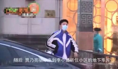 圈内扒叔爆料李小璐贾乃亮,圈内扒叔独家爆料揭秘  第2张