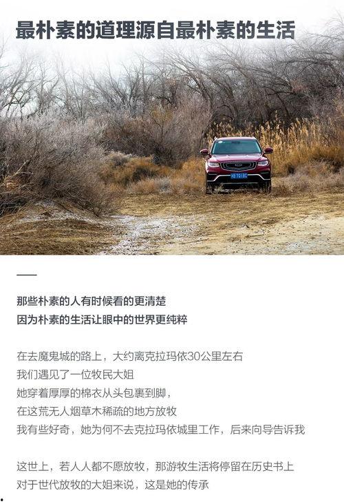 陆地最新真实爆料,陆地最新真实爆料，带你走进不为人知的幕后故事