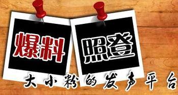 有奖爆料的新闻平台,有奖爆料平台背后的惊人真相 第2张 有奖爆料的新闻平台,有奖爆料平台背后的惊人真相 第2张