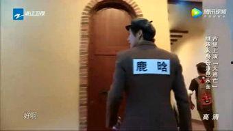 娱乐吃瓜君遛鸟大师身高,娱乐吃瓜君带你探秘娱乐圈身高之谜  第3张