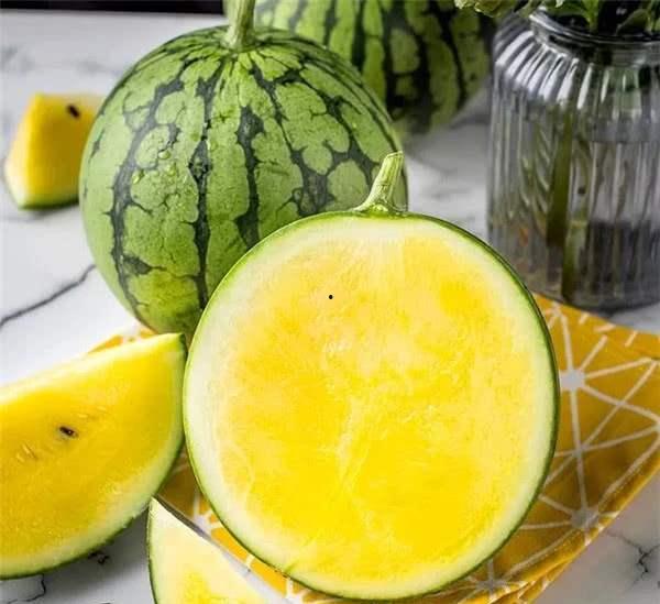 黄料吃瓜网免费,揭秘娱乐圈幕后故事，免费畅享娱乐资讯盛宴