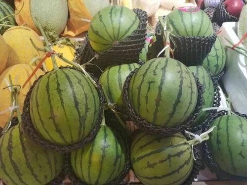 黄料吃瓜网免费,揭秘娱乐圈幕后故事，免费畅享娱乐资讯盛宴  第3张