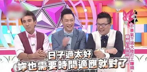 娱乐圈内地爆料,揭秘明星背后的真相与争议