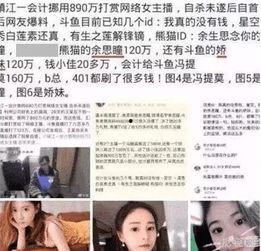 央视爆料记者被杀视频播放,真相调查与正义呼唤