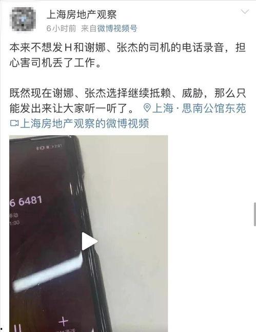 爆料者张杰录音视频播放,揭秘娱乐圈幕后真相  第3张