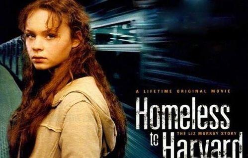 风雨哈弗路在线观看,在线观看，逆境成长之旅