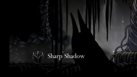 黑影骑士爆料视频大全,揭秘神秘事件背后的真相  第2张