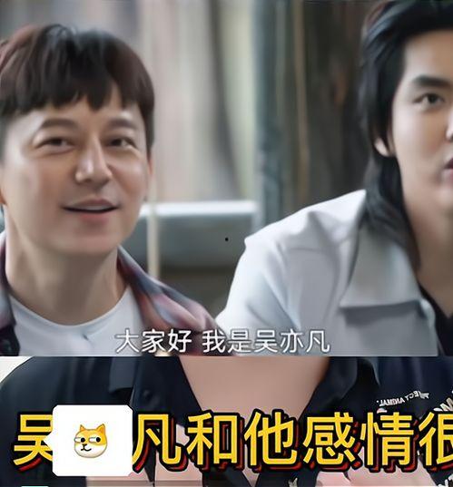 娱乐圈圈内大瓜爆料视频,揭秘明星背后的惊人真相！