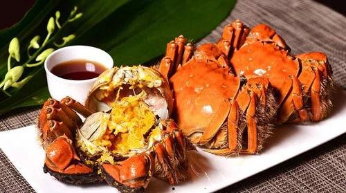 嘉兴蟹居爆料事件视频播放,揭秘背后惊人真相