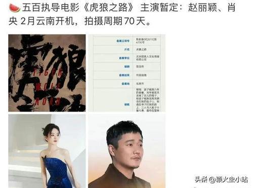 虎狼之路爆料视频,视频爆料背后的惊心动魄  第2张