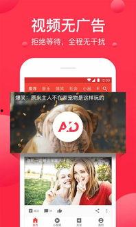 教师吃瓜爆料视频下载网站,揭秘娱乐圈幕后真相 第2张 教师吃瓜爆料视频下载网站,揭秘娱乐圈幕后真相 第2张