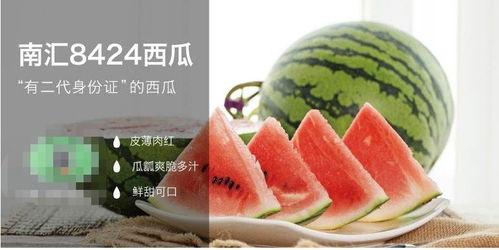 晋江娱乐圈吃瓜文推荐,揭秘明星背后的那些事  第2张