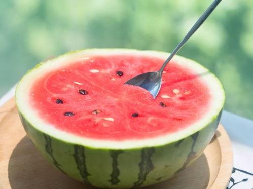 晋江娱乐圈吃瓜文推荐,揭秘明星背后的那些事  第3张