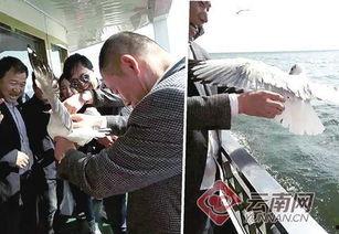 大理记者爆料新闻,揭秘当地热点事件背后真相  第2张