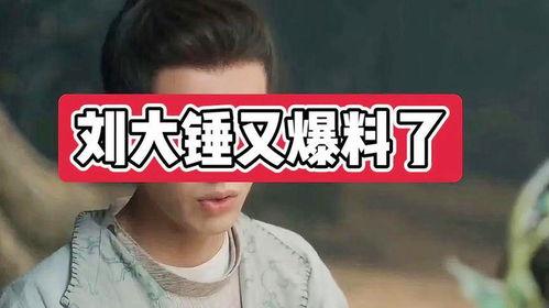 刘大锤周一爆料视频,揭秘娱乐圈惊人内幕