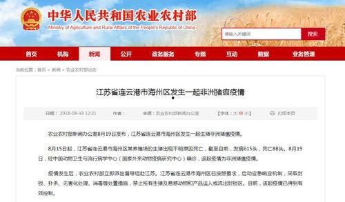 今日农村爆料大全新闻,聚焦乡村热点，揭示民生真相  第3张