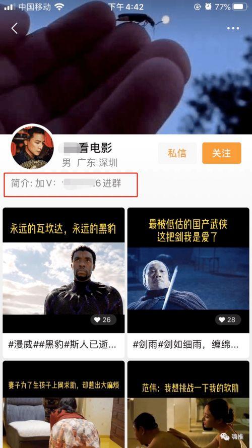 日日视频在线观看,畅享海量精彩内容，轻松开启视听盛宴  第2张