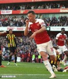 厄齐尔最新爆料,职业生涯转折与足球人生感悟