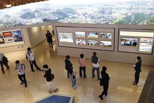 爆料香港旅游团视频,揭秘真实旅游现状与游客心声  第3张