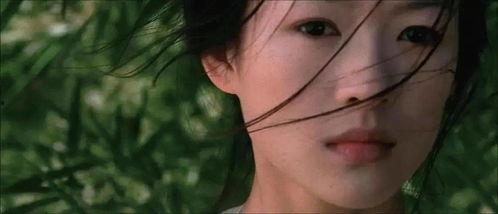 岁月如玉在线观看,穿越时光的温情之旅  第3张