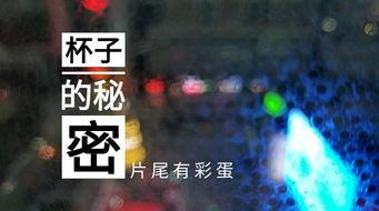 山东饭店爆料视频播放网站,揭秘幕后真相，引发网友热议