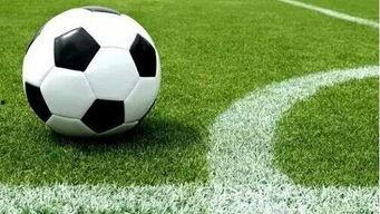 足球垃圾赛爆料视频,爆料视频揭露惊人内幕  第2张