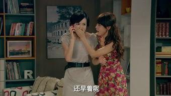 爱情公寓第一季在线观看,青春记忆中的欢乐喜剧之旅  第2张