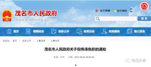 茂名新闻爆料有奖平台,全民参与共创和谐茂名 第2张 茂名新闻爆料有奖平台,全民参与共创和谐茂名 第2张