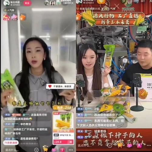 东北农嫂爆料视频大全,揭秘农村生活真实面貌